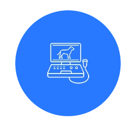 Vertrieb Ultraschallgeräte VET Icon Vertrieb Ultraschallgeräte VET